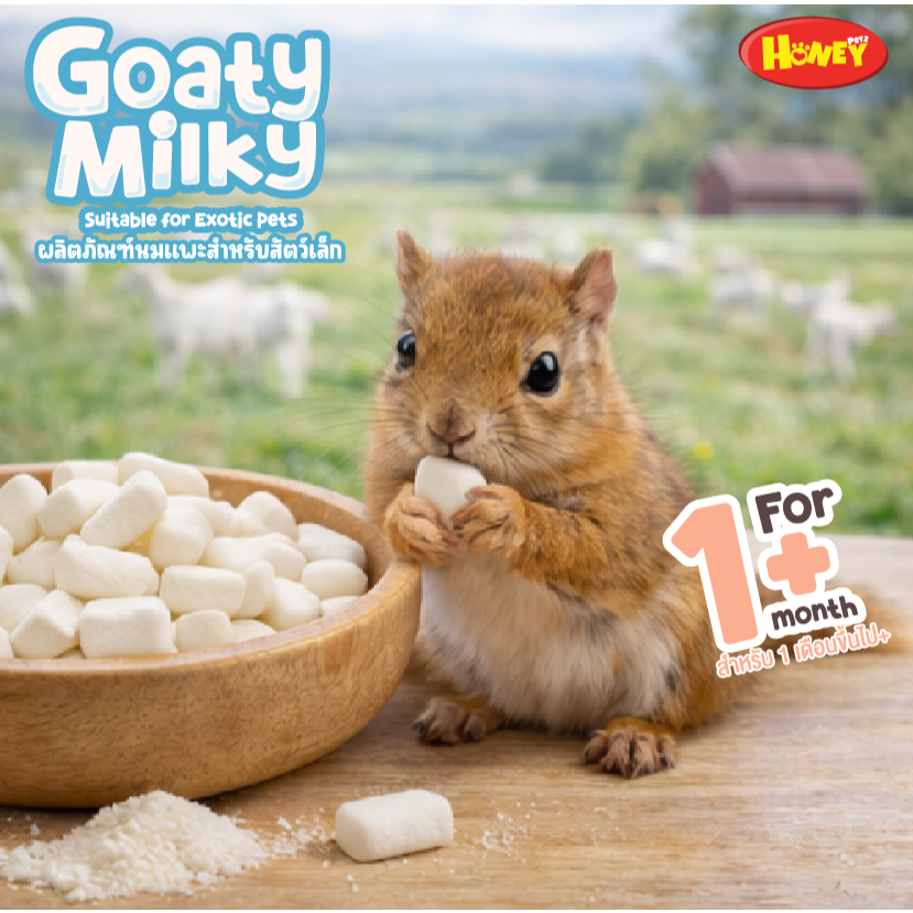 Honeypetzนมแพะฟรีชดราย 2IN1ละลายน้ำต้มสุกหรือทานแบบเม็ดได้ทันที