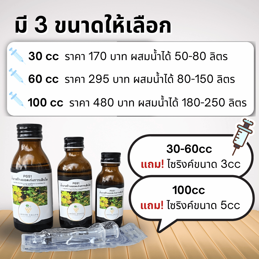 PGS1 น้ำยาสร้างยอด เร่งการเติบโต – ชนิดผสมน้ำพ่น ราคา ถูกที่สุด ดีลบีเคเค แกลเลอรีภาพที่ 2