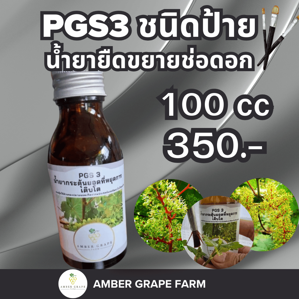 PGS3 น้ำยากระตุ้นยอดที่หยุดการเติบโต - ชนิดป้าย