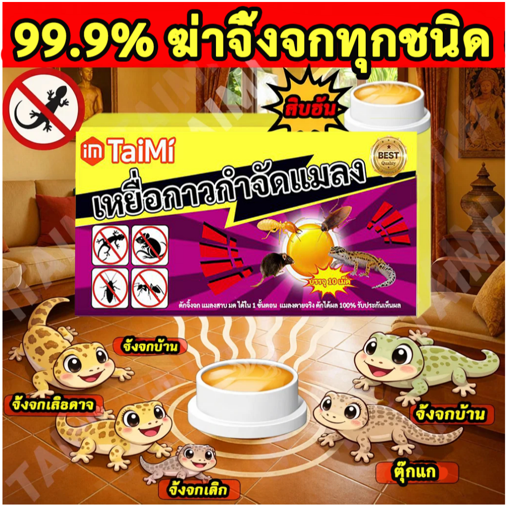 🦎เหยื่อกำจัดจิ้งจก เห็นผลเร็ว กินแล้วออกฤทธิ์ทันที ใช้งานง่าย วางได้ทุกมุมบ้าน