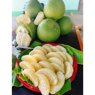 [ กล่องละ 6 ลูก ] ส้มโอขาวน้ำผึ้งพิจิตร ส้มโอสด น้ำหนัก 0.8 -1.0 กิโล เนื้อหวาน ไม่ขม อร่อย พร้อมส่ง
