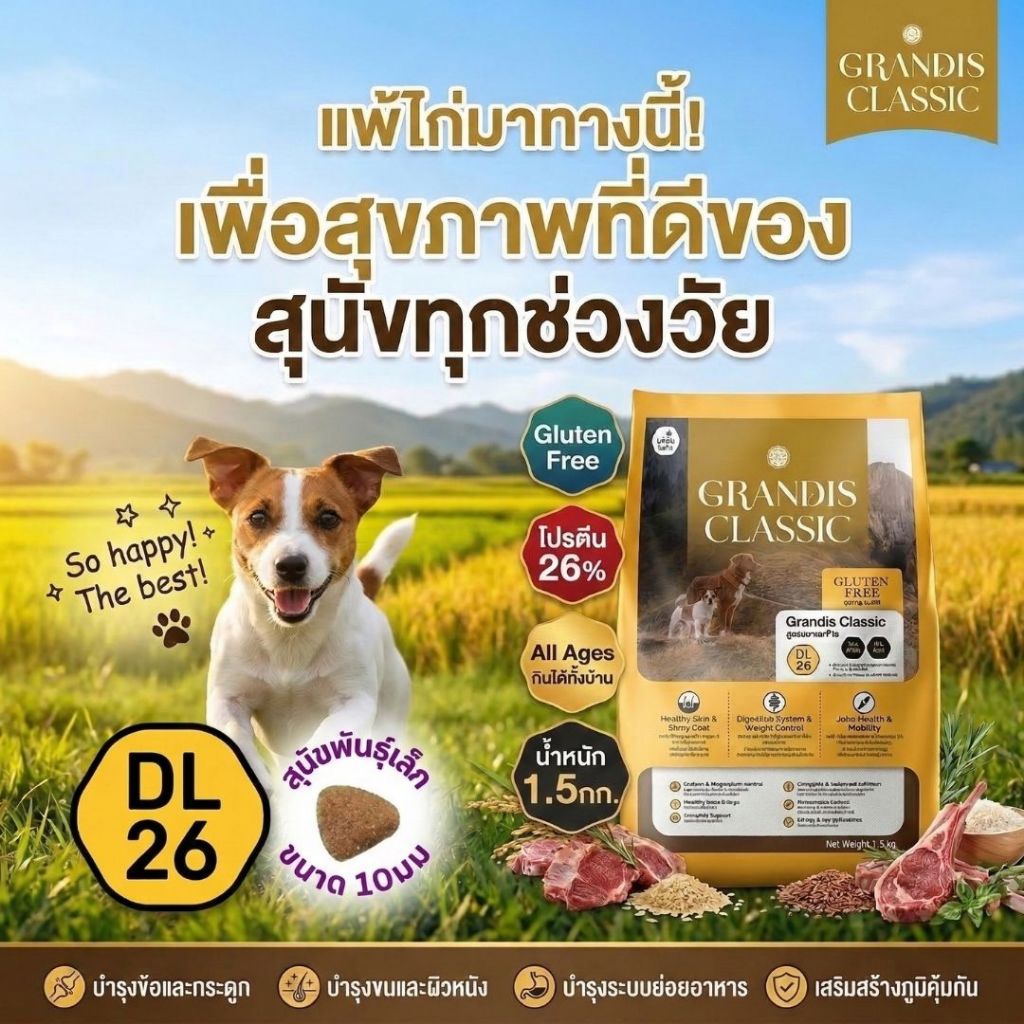 แกรนดีส DL26 (9กก) อาหารสุนัข สูตรกลูเตนฟรี แกะและข้าว GRANDIS DL26 Lamb & Rice Dog Food