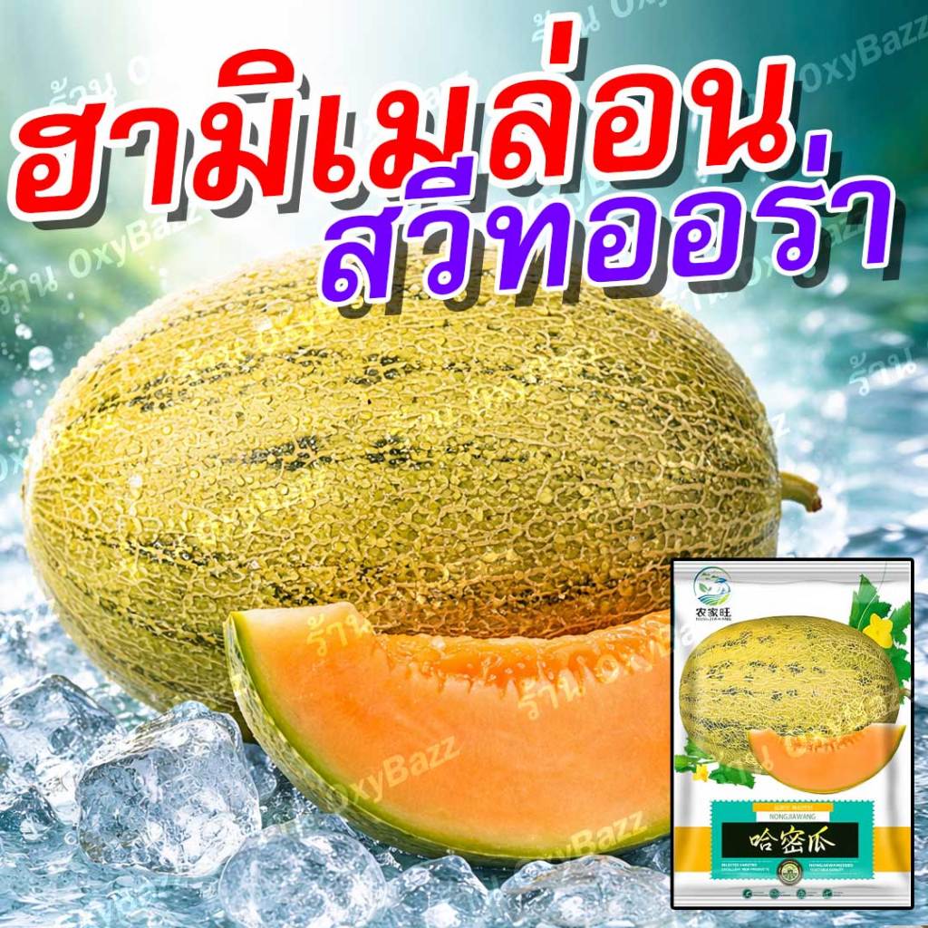 เมล็ดพันธุ์ฮามิเมล่อนสวีทออร่า 20-25 เมล็ด เมล่อนเนื้อส้มหวานกรอบ ปลูกง่าย โตไว ผลใหญ่ เกรดพรีเมียม อัตรางอกสูง