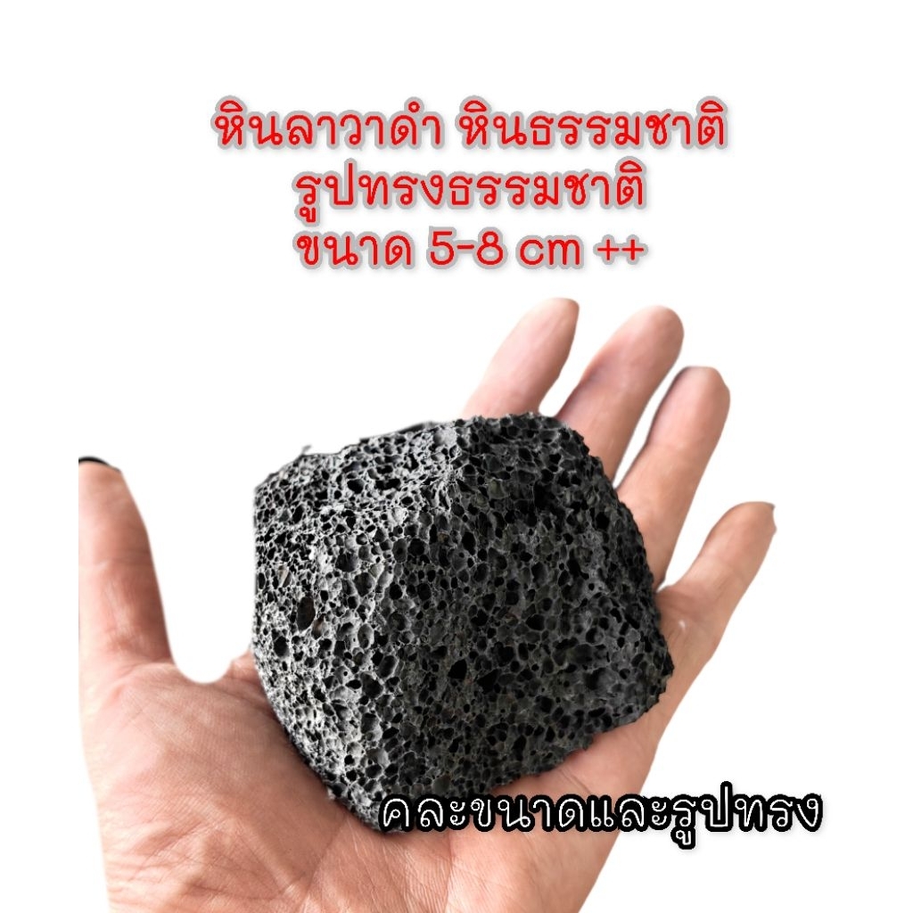 หินลาวาดำ หินธรรมชาติ หินน้ำหอม Layout ตู้ปลา