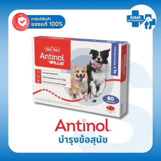 Antinol Dog แอนทินอล อาหารเสริมสุนัข บำรุงข้อ บำรุงข้อต่อ สกัดจากธรรมชาติ (1 กล่อง/60 เม็ด)
