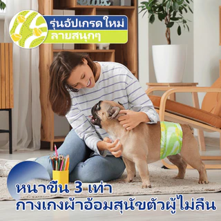 🔥Dono'S Diary ผ้าอ้อมสุนัขตัวผู้ กันลื่นเป็นพิเศษ ใส่สบาย ไม่หลุดง่าย เหมาะสำหรับหมาสนอง เดินทาง ป่วย ซอง 10
