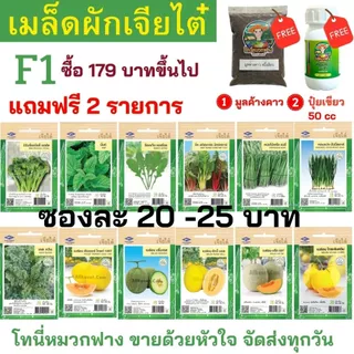 เมล็ดผัก เจียไต๋ F1 ซองละ 25 บาท ซื้อยอด 179 บาทขึ้นไปแถมฟรีมูลค้างคาว+ปุ๋ยเขียว50cc