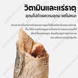 ขนมแมว ปลาแมว ขนมหมา โปรตีนสูง ไม่เค็ม ขนาด ปลอดภัยต่อไต สดใหม่ทุกวัน ไม่ใส่สารกันเสีย สุนัขก็ชอบทาน