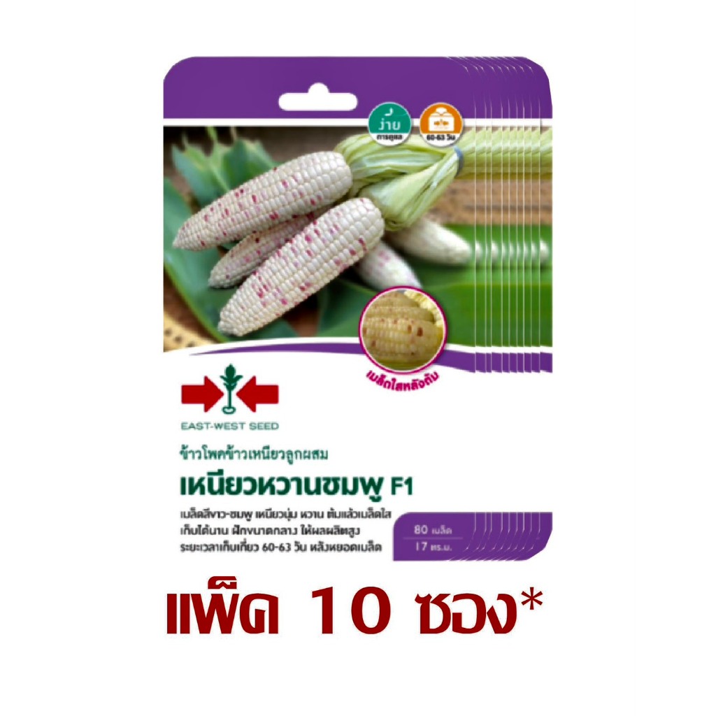 ข้าวโพดข้าวเหนียว F1 เหนียวหวานชมพู 80 เมล็ด ศรแดง (ยกแพ็ค 10 ซอง)