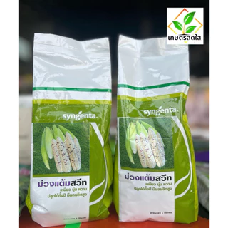 ข้าวโพดเหนียวหวาน ม่วงแต้มสวีท (Syngenta) *ขนาด 1 กิโลกรัม ปลูกได้ตลอดปี ฝักสด ขนาดกำลังพอดี เหมาะกับตลาดสด