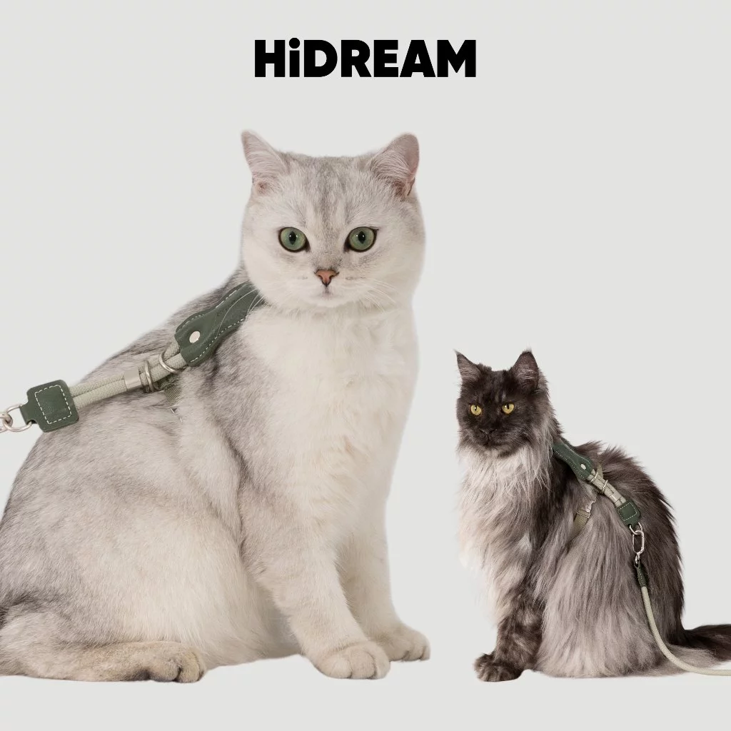 [ส่งด่วน] HiDREAM สายจูงแมว Cat Harness ระบายอากาศดี ฟรีไซส์ กระชับ ไม่หลุด ใส่ง่าย น้ำหนักเบา