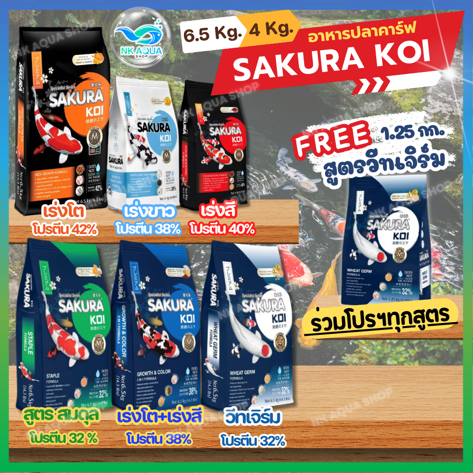 ทุกสูตร💥ฟรี❗วีทเจิร์ม1.25กก.📌อาหารปลาคาร์ฟซากุระ โค่ย (Sakura Koi) ขนาด 4 กก. และ 6.5 กก.