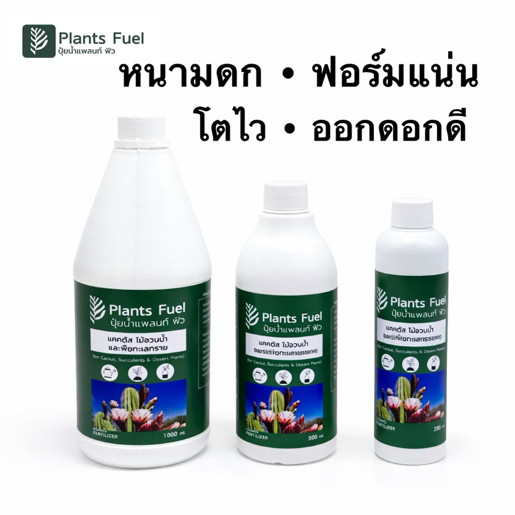 ปุ๋ยแคคตัส Plants Fuel เร่งดอก หนามดก ไร้คราบเกลือขาว ไม่ต้องวัด pH/EC ช่วยประคองฟอร์มสวย สำหรับกระบองเพชร ไม้อวบน้ำ