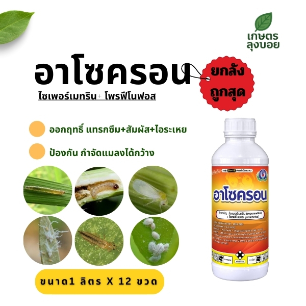 อาโซครอน ป้องกันกำจัดแมลง หนอน เพลี้ย ด้วง ผีเสื้อ จำนวน 12 ขวด