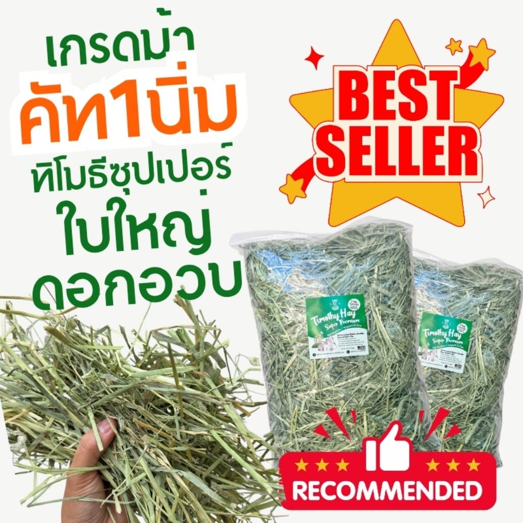 ล็อตใหม่ หญ้ากระต่ายหญ้าทิโมธีคัท 1 iHayซุปเปอร์พรีเมี่ยมเกรดม้า ร่อนฝุ่น แกสบี้ แพรี่ด็อก ชินชิล่า