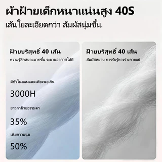 SKY กางเกงในหญิงผ้าฝ้าย95%ยืด นุ่มสบายผิว ไม่รัด เอวกลาง ดีไซน์เก๋ 3ชิ้น M-2XL พร้อมส่งCOD