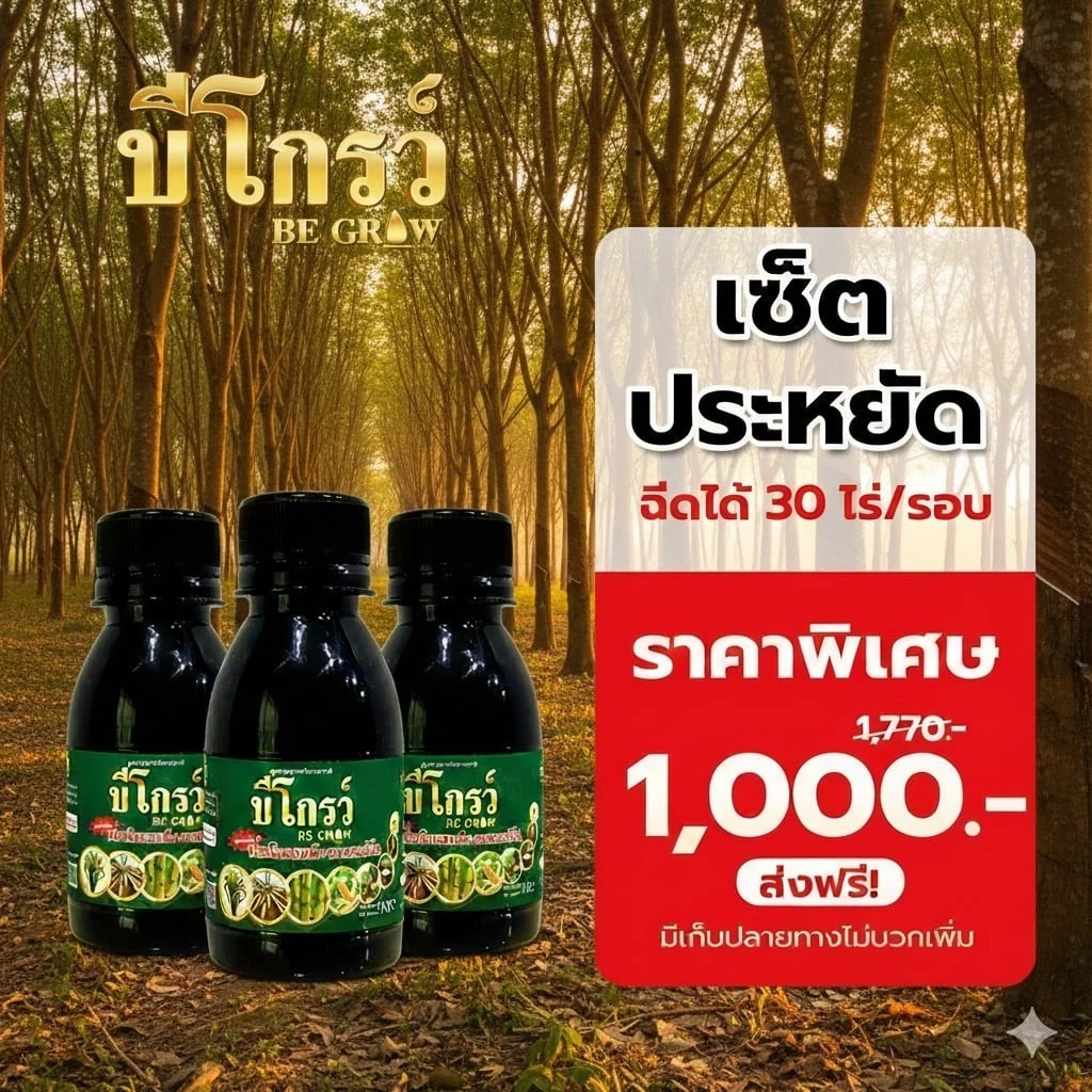 บีโกรว์สูตรเข้มข้น X2 พลังโตไว 3 ขวด ส่งฟรีมีปลายทาง พืชแข็งแรง ไม่อ่อนแอ ต้านโรคแมลงได้ยอดเยี่ยม