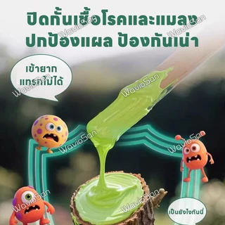 🌲สมานแผลเร็ว🌲ยาทาแผลต้นไม้ ทาแผลต้นไม้ ยาทาแผลต้นไม้ป้องกันเชื้อรา เคลือบปกป้องแผล ใช้ได้หลายพืช