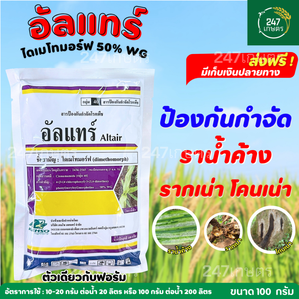 อัลแทร์ 100 กรัม (ไดเมโทมอร์ฟ50%) ตัวเดียวกับฟอรัม ป้องกันกำจัดโรคราน้ำค้าง รากเน่าโคนเน่า ไฟทอปเทอร่า ใบไหม้ ใช้ได้กับ