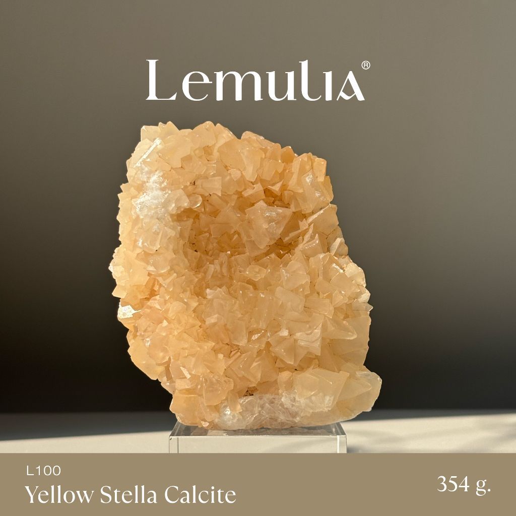 Lemulia Collector Yellow Stella Calcite Cluster (L100) - เลอมูเรีย คอลเลคเตอร์ เยลโล สเตลลา แคลไซต์ 