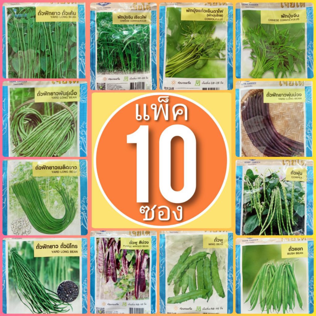 แพ็ค 10 ซอง เมล็ดพันธุ์ผัก เจียไต๋ ผักซอง ผักบุ้งจีน ผักบุ้งแก้ว ถั่วฝักยาว ถั่วเนื้อ ถั่วพุ่ม ถั่วแขก ถั่วพู ถั่วลันเตา