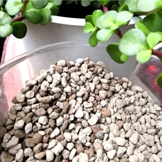 1ลิตร𝓛 เต็ม! หินภูเขาไฟ(Pumice Stone 1 Litr) ผสมดินปลูก เพิ่มความโปร่ง ร่วน เบา มีรูพรุน ช่วยการระบายน้ำ