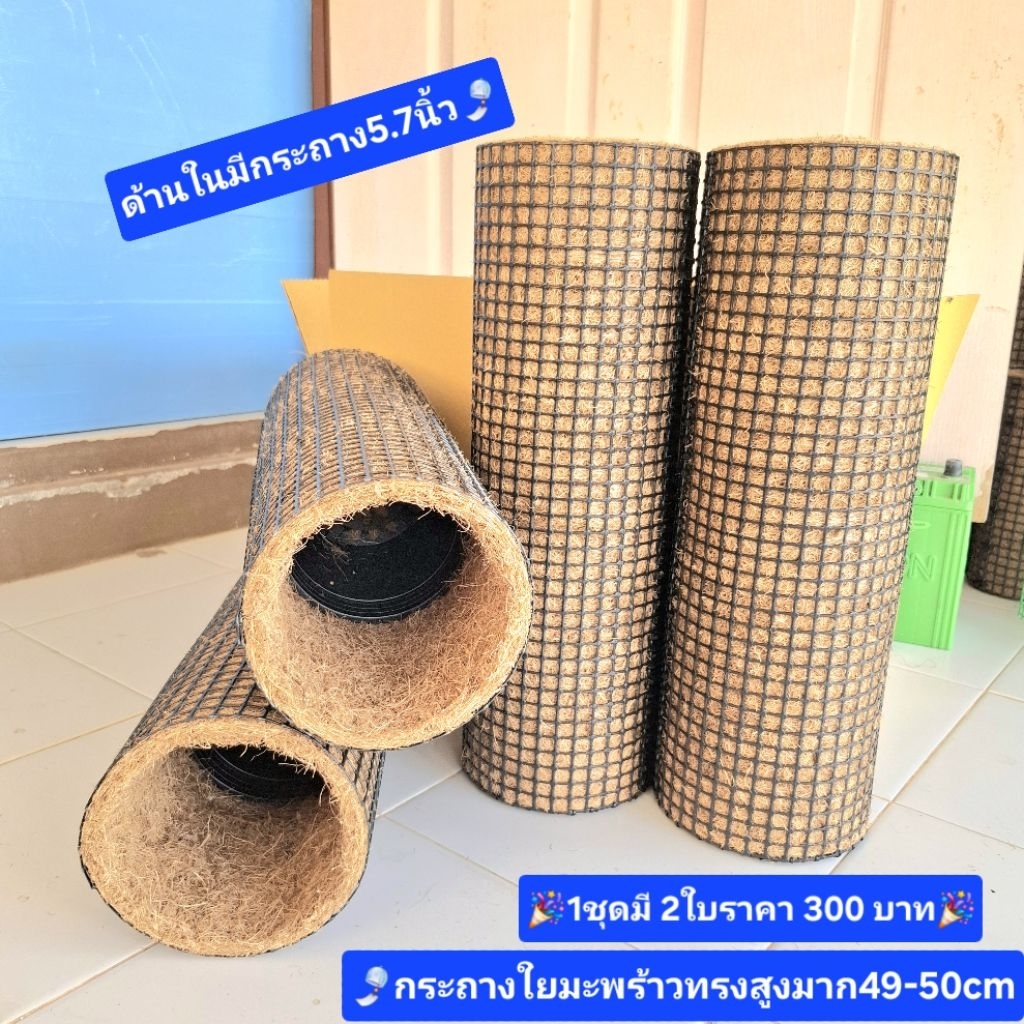 กระถางใยมะพร้าวทรงสูง49-50cmด้านในมีกระถางดำ5.7นิ้ว1ชุด2ใบราคา300บาท