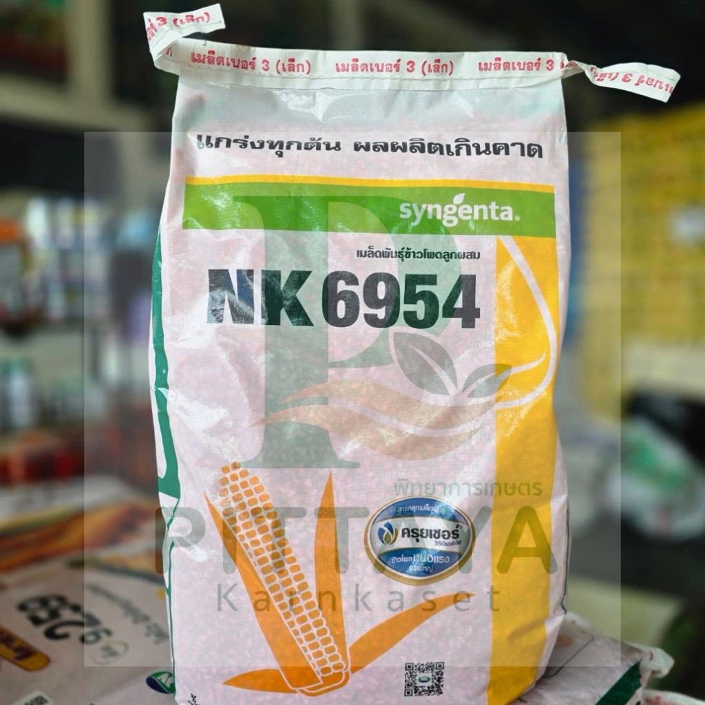 ข้าวโพดเอ็นเค 6954 ( NK6954 ) ขนาด 10 กิโลกรัม - ปรับตัวเก่ง ต้นแข็งแรง ผลผลิตสูง