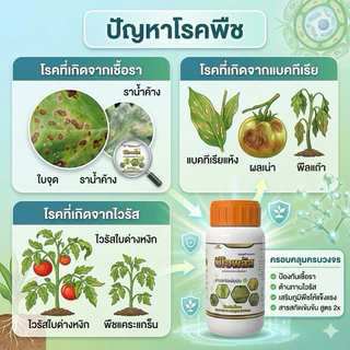 นีโอพลัส สูตรแก้ใบด่างใบจุด ใบซีด ใบหงิก พร้อมกันเชื้อรา ชุดฟื้นพืชโทรม เสริมภูมิพืช ป้องกันใบจุดใบไหม้