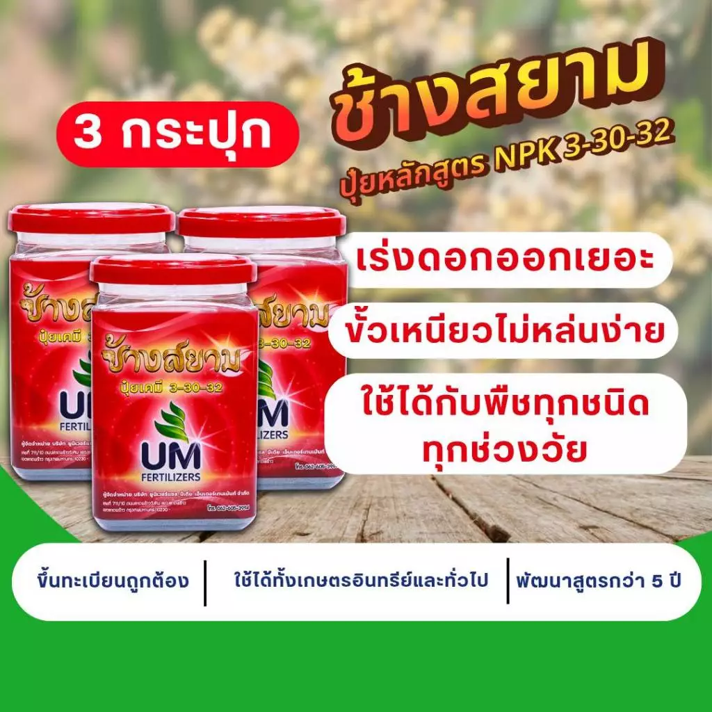 ปุ๋ยช้างสยาม 3 กระปุก ปุ๋ยหลัก สูตรปุ๋ยเร่งดอก 3-30-32