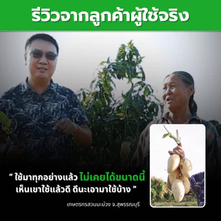 ปุ๋ยช้างสยาม 3 กระปุก ปุ๋ยหลัก สูตรปุ๋ยเร่งโต 14-14-14