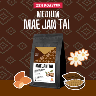 Gen Roaster เมล็ดกาแฟพิเศษ แม่จันใต้ เชียงราย คั่วอ่อน คั่วกลาง Mae Jan Tai Light and Medium Roast หอมดอกไม้ คลีนหวาน
