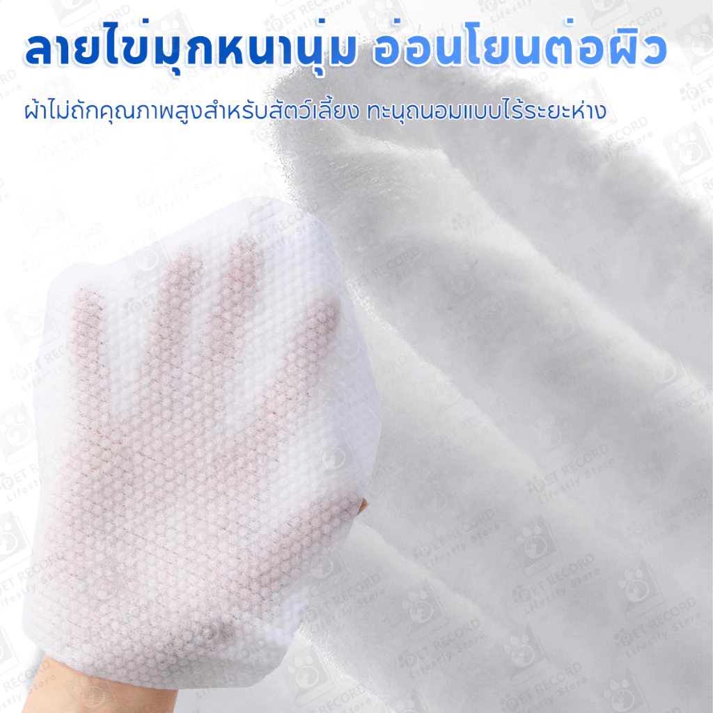 Pet Record ผ้าเช็ดทำความสะอาดสัตว์เลี้ยง 80 แผ่น thumbnail 7