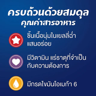[12ซอง] FELIX อาหารเปียกแมว สำหรับแมวทุกวัย คละรสได้ เฟลิกซ์ 85 กรัม ของแท้ 100%