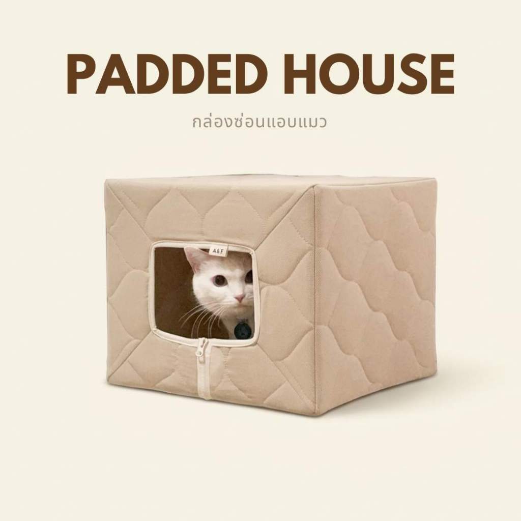 [พร้อมส่ง] Padded House กล่องซ่อนแอบแมว พร้อมพรมลับเล็บในตัว นำเข้าจากเกาหลี 🇰🇷