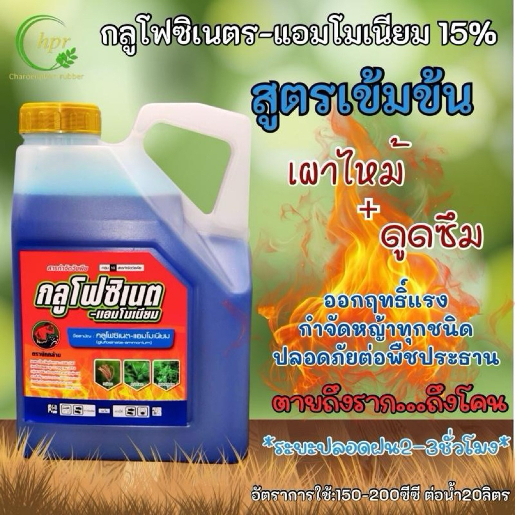 กลูโฟซิเนตตรานักกล้าม เผาไหม้กึ่งดูดซึม น้ำสีฟ้า
