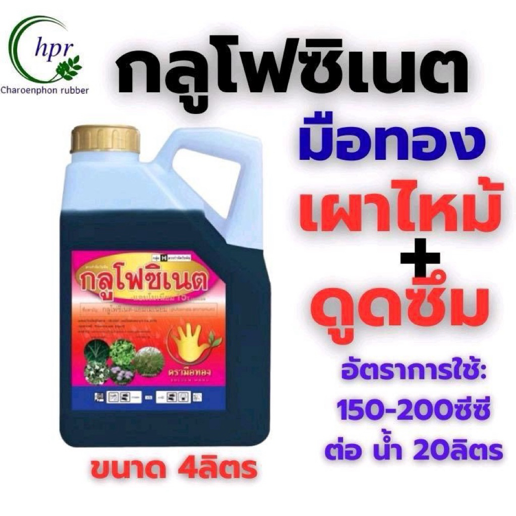 กลูโฟซิเนตตรามือทอง เผาไหม้กึ่งดูดซึม