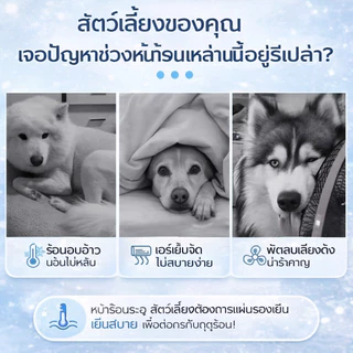 ที่นอนเย็น แผ่นเจลเย็นสำหรับสัตว์เลี้ยง สุนัขแมว ที่นอนน้ำแข็ง ลดความร้อน แผ่นทำความเย็นฤดูร้อน ใช้ได้ทั้งคนและสัตว์เลี้