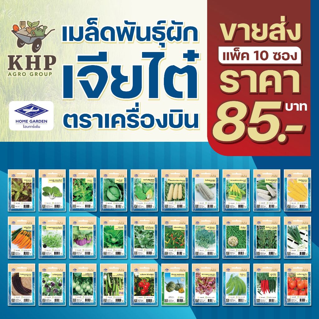 ขายส่ง ยกแพ็ค มี 10 ซอง เมล็ดพันธุ์ เจียไต๋ ชุดที่ 1 (ผักซอง OP) คุณภาพดี การันตีความงอก ถูกที่สุด!!