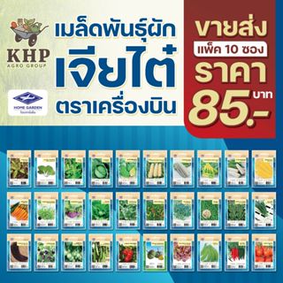 ขายส่ง ยกแพ็ค มี 10 ซอง เมล็ดพันธุ์ เจียไต๋ ชุดที่ 1 (ผักซอง…