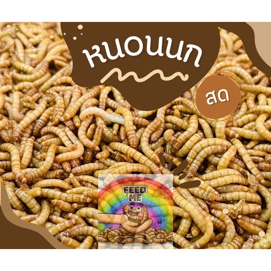 อาหารนก ชูก้า กระรอก ส่งทุกวัน มีประกันเคลมฟรี
