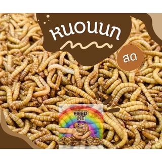 อาหารนก ชูก้า กระรอก ส่งทุกวัน มีประกันเคลมฟรี