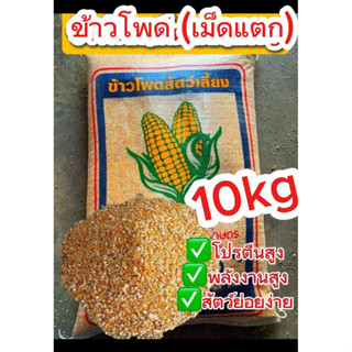 ข้าวโพดเลี้ยงสัตว์เม็ดแตกและเม็ดเต็มคุณภาพดี