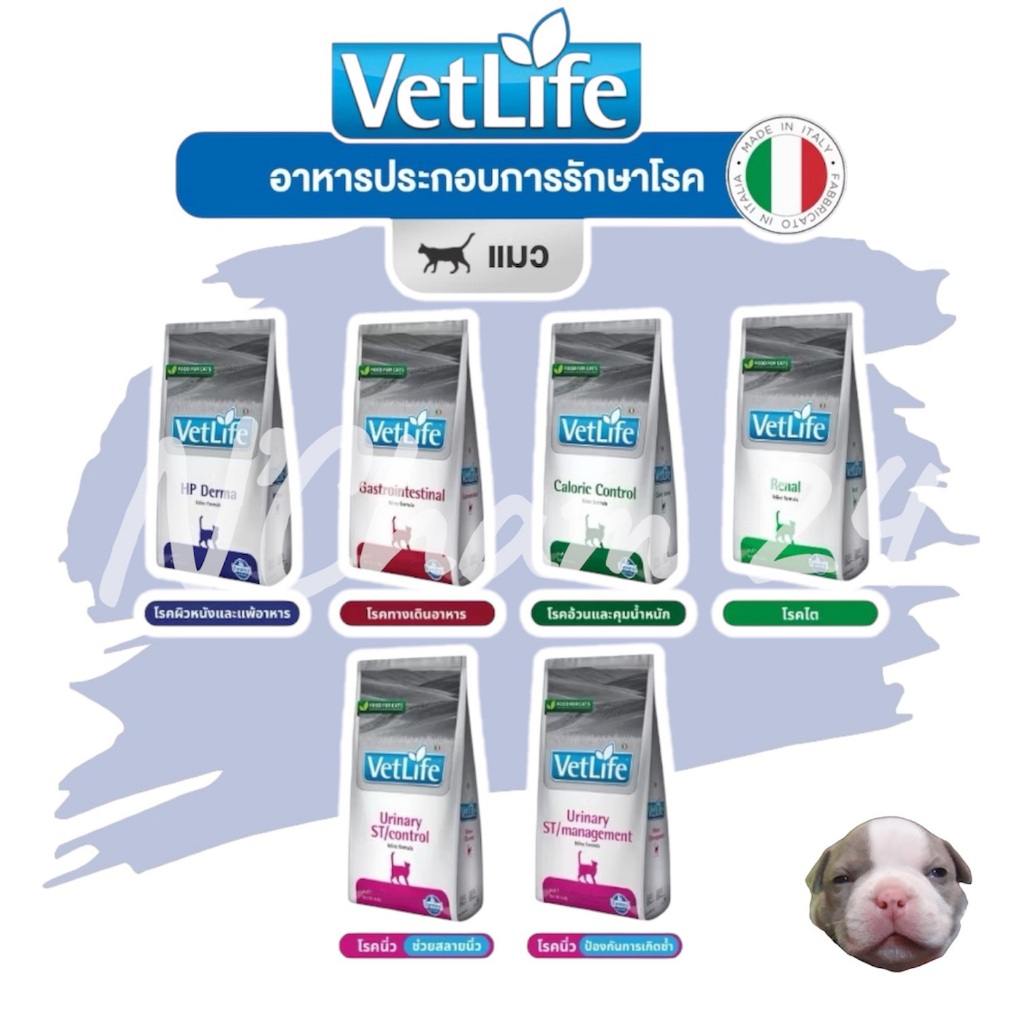 Vetlife cat food หมดอายุ 07/2026 อาหารประกอบการรักษาโรค อาหารแมว รวมทุกสูตรแมว