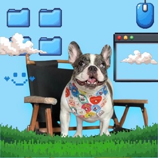 ผ้าพันคอสัตว์เลี้ยงหมาแมวลายการ์ตูนน่ารักมากๆ