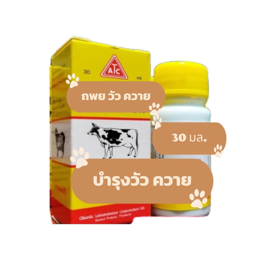สำหรับ วัว ควาย แพะ แกะ