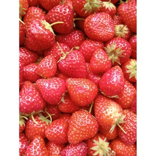 กาเเฟพิเศษ เกรดA กลิ่น Rum Strawberry Anearobic Process