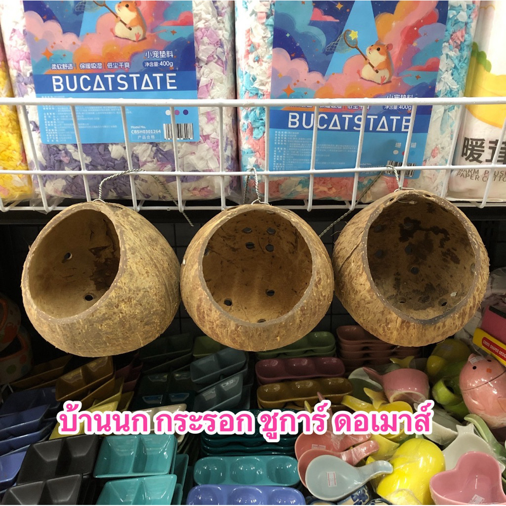 บ้านกะลาสัตว์เล็ก เช่น นก กระรอก ชูการ์ ดอเมาส์ ฯลฯ