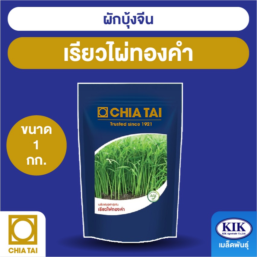 เมล็ดพันธุ์ เจียไต๋ ผักบุ้งจีน เรียวไผ่ทองคำ CBS ซองใหญ่ ขนาด 1 กิโลกรัม