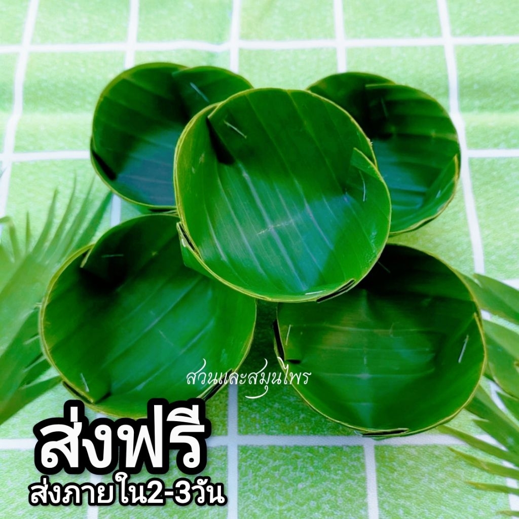 กระทงใบตองสด ทรงกลม กระทงขนมเข่ง ขนาด5.5ซม.และ ขนาด6.5ซม. 100ชิ้น ส่งภายใน3วันค่ะ